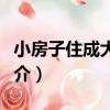小房子住成大豪宅（關于小房子住成大豪宅簡介）