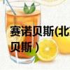 賽諾貝斯(北京)營銷技術股份有限公司（賽諾貝斯）