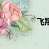 飛翔（關于飛翔的簡介）