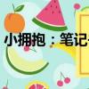小擁抱：筆記書（關于小擁抱：筆記書簡介）