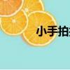 小手拍拍（關于小手拍拍簡介）