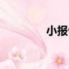 小報告（關于小報告簡介）
