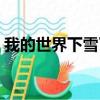我的世界下雪了主要內容（我的世界下雪了）