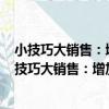 小技巧大銷售：增加銷售、提高利潤的401種方法（關于小技巧大銷售：增加銷售、提高利潤的401種方法簡介）