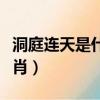 洞庭連天是什么生肖動物（洞庭連天是什么生肖）