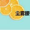 塵霧腰帶（關于塵霧腰帶簡介）