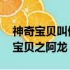 神奇寶貝叫做阿龍的訓練家 神之阿龍（神奇寶貝之阿龍）
