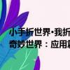 小手折世界·我折奇妙世界：應用篇（關于小手折世界·我折奇妙世界：應用篇簡介）