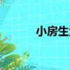 小房生活（關于小房生活簡介）