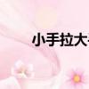 小手拉大手（關于小手拉大手簡介）
