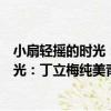 小扇輕搖的時光：丁立梅純美青春散文（關于小扇輕搖的時光：丁立梅純美青春散文簡介）
