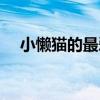 小懶貓的最愛（關于小懶貓的最愛簡介）