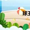 球王（關于球王的簡介）