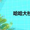 哈哈大校（關于哈哈大校的簡介）