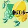 臨江市一中藝術節（臨江市一中）