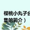 櫻桃小丸子臺語全集（關于櫻桃小丸子臺語全集的簡介）