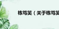 棟篤笑(關于棟篤笑的簡介)