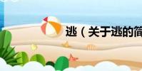 逃(關于逃的簡介)