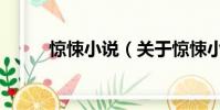 驚悚小說(關于驚悚小說的簡介)