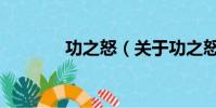 功之怒(關于功之怒的簡介)