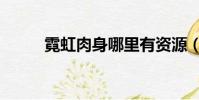 霓虹肉身哪里有資源(霓虹肉身)