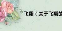飛翔(關于飛翔的簡介)