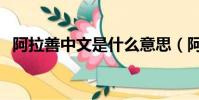 阿拉善中文是什么意思(阿拉善什么意思)