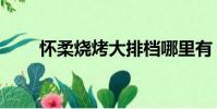 懷柔燒烤大排檔哪里有(懷柔燒烤)