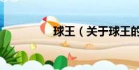 球王(關于球王的簡介)