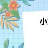 小方（關于小方簡介）