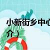 小新街鄉中心小學（關于小新街鄉中心小學簡介）
