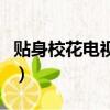 貼身校花電視劇（關于貼身校花電視劇的簡介）