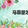 馬蓉是怎么被發現（馬蓉被捉奸）