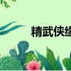 精武俠緣（關于精武俠緣的簡介）