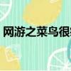 網游之菜鳥很瘋狂王石（網游之菜鳥很瘋狂）