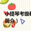 小提琴考級教程 下（關于小提琴考級教程 下簡介）