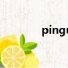 pingu（關于pingu的簡介）