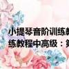 小提琴音階訓練教程中高級：第一分冊（關于小提琴音階訓練教程中高級：第一分冊簡介）
