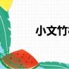 小文竹村（關于小文竹村簡介）