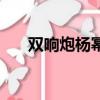 雙響炮楊冪（關于雙響炮楊冪的簡介）