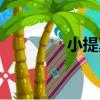 小提莫（關于小提莫簡介）