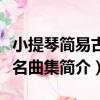 小提琴簡易古典名曲集（關于小提琴簡易古典名曲集簡介）
