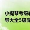 小提琴考級輔導大全5級（關于小提琴考級輔導大全5級簡介）