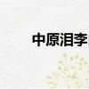中原淚李白古詩原文（中原淚李白）