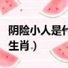 陰險小人是什么生肖的動物（陰險小人是什么生肖）