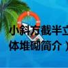 小斜方截半立方體堆砌（關于小斜方截半立方體堆砌簡介）