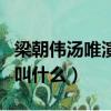 梁朝偉湯唯演的叫什么片名（梁朝偉湯唯演的叫什么）
