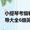 小提琴考級輔導大全6級（關于小提琴考級輔導大全6級簡介）