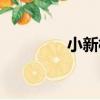 小新橋（關于小新橋簡介）