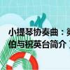 小提琴協奏曲：梁山伯與祝英臺（關于小提琴協奏曲：梁山伯與祝英臺簡介）